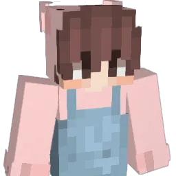 _imRev Minecraft avatar bust