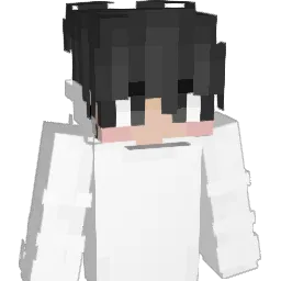 _kls_kls_ Minecraft avatar bust