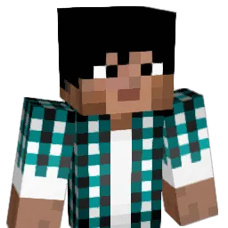 _loggerhead_ Minecraft avatar bust