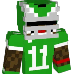 _martinfr Minecraft avatar bust