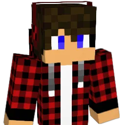 _mejts_ Minecraft avatar bust