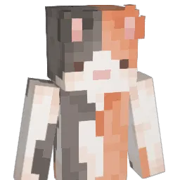 _mikeli_san_ Minecraft avatar bust