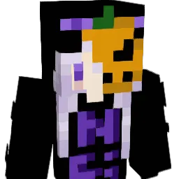 _nc25_'s Minecraft skin