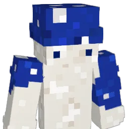 _ndy Minecraft avatar bust