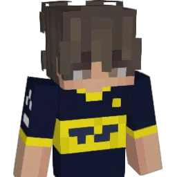 _niceshot Minecraft avatar bust