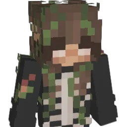 _qwen