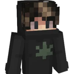 _sanntek_ Minecraft avatar bust