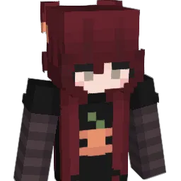 _shmoopy Minecraft avatar bust