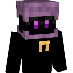 _shulk's Minecraft skin