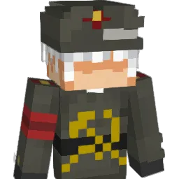 _skyfee Minecraft avatar bust