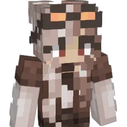 _stellarlys Minecraft avatar bust