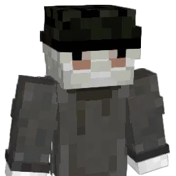 _swen_ Minecraft avatar bust