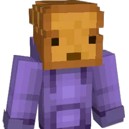 _t_o_a_s_t_ Minecraft avatar bust