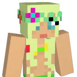 _tinydancer Minecraft avatar bust