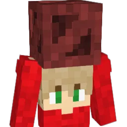 _violet_magicc Minecraft avatar bust