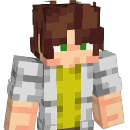 _vlawik_ Minecraft avatar bust