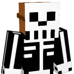 _vonok_ Minecraft avatar bust