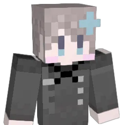 _wawon_ Minecraft avatar bust