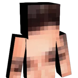 _x23's Minecraft skin