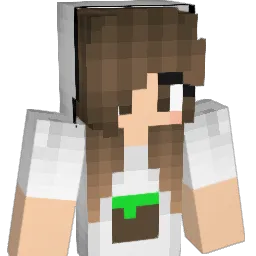 _xCrane_ Minecraft avatar bust