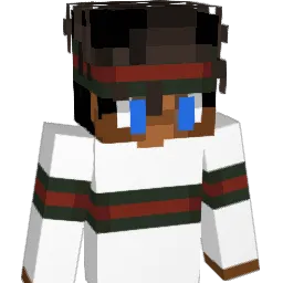 _xSJ Minecraft avatar bust