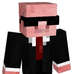 _zNinja Minecraft avatar bust