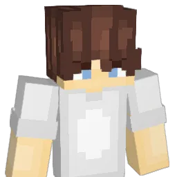 a1rr_ Minecraft avatar bust