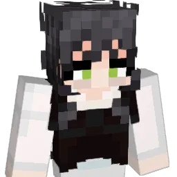 _ASILID's skin