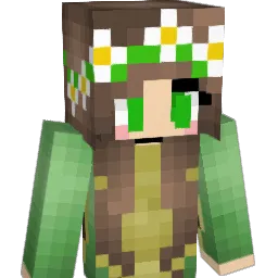 FunnyTurtle4's skin