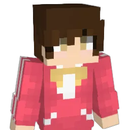 aDuckCrusader Minecraft avatar bust