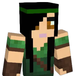 aFlipinNinja Minecraft avatar bust