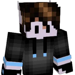 aHerobrinE Minecraft avatar bust