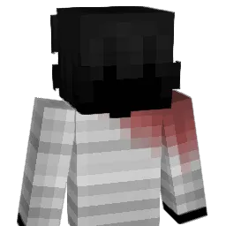 a_rl Minecraft avatar bust