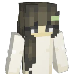 aa1yn_ Minecraft avatar bust