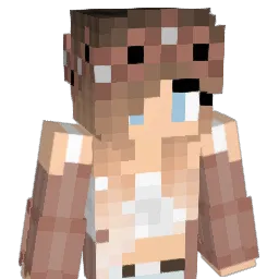 aa59745 Minecraft avatar bust
