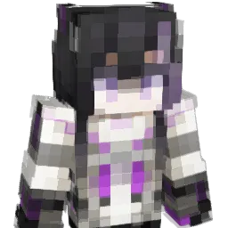 aaa1111