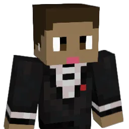 aam3r Minecraft avatar bust