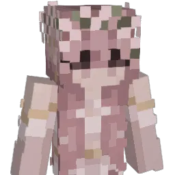 aami04's Minecraft skin