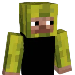 aanderdingus Minecraft avatar bust