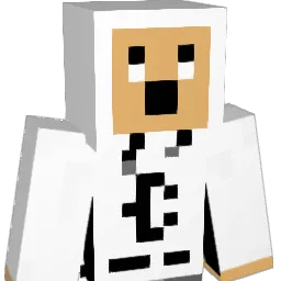 aandyy1 Minecraft avatar bust