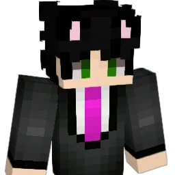 aaronfleik