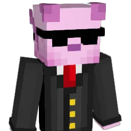 aarxn_147 Minecraft avatar bust