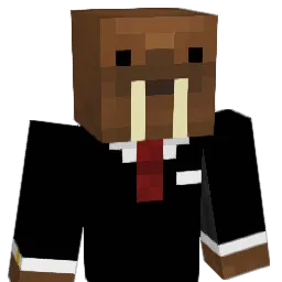 abaszym Minecraft avatar bust