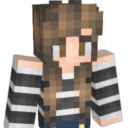 abbs541 Minecraft avatar bust