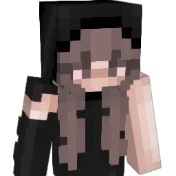 absofsteel9 Minecraft avatar bust