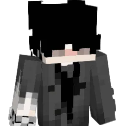 FSMAYA's skin