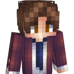 accelLv11 Minecraft avatar bust