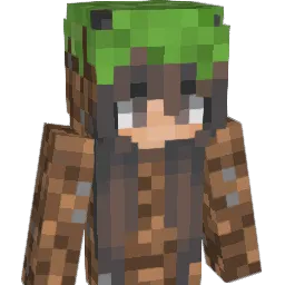 accompt's Minecraft skin
