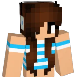 ace4942 Minecraft avatar bust