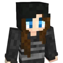 acegamer1111 Minecraft avatar bust